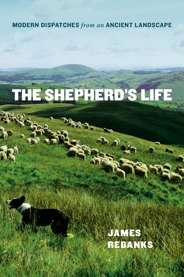 book cover - The Shepherd's Life